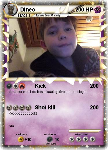Pokemon Dineo