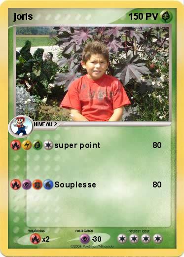 Pokemon joris