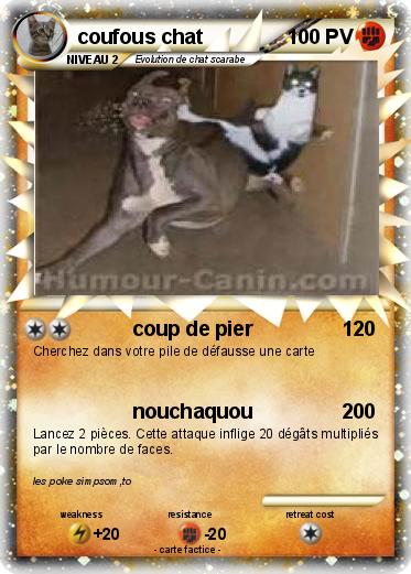Pokemon coufous chat
