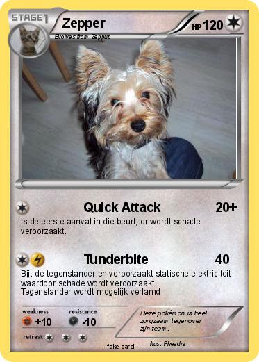Pokemon Zepper