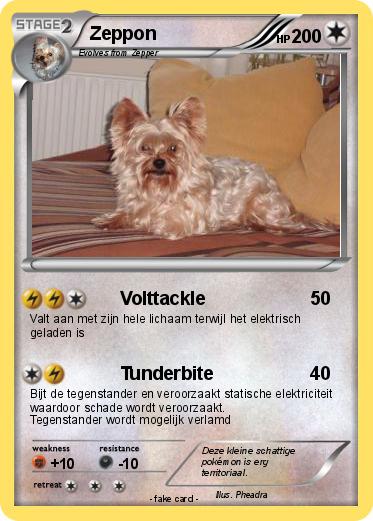 Pokemon Zeppon