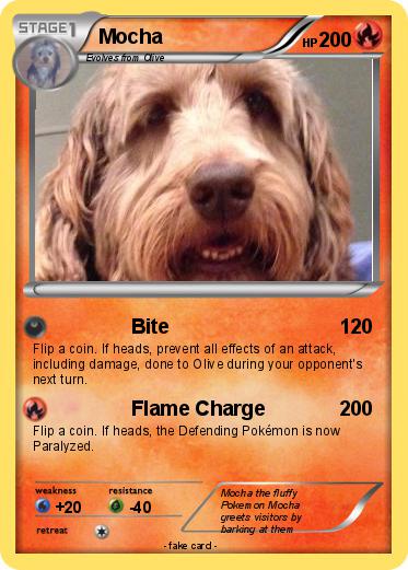 Pokemon Mocha