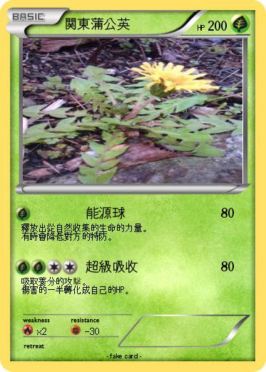 Pokemon 関東蒲公英