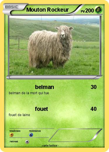 Pokemon Mouton Rockeur