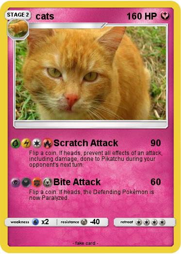 Pokemon cats