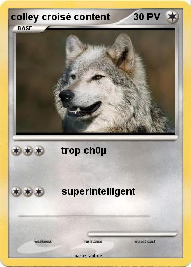 Pokemon colley croisé content