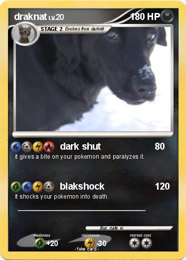 Pokemon draknat