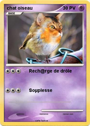 Pokemon chat oiseau