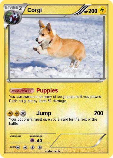 Pokemon Corgi