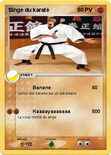 Pokemon Singe du karaté