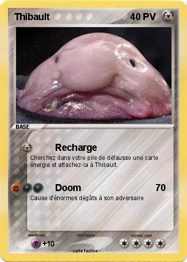 Pokemon Thibault