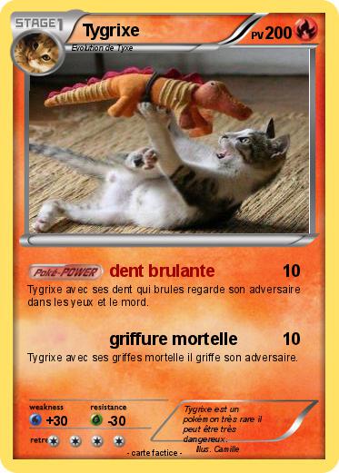 Pokemon Tygrixe