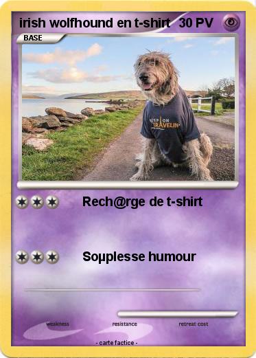 Pokemon irish wolfhound en t-shirt