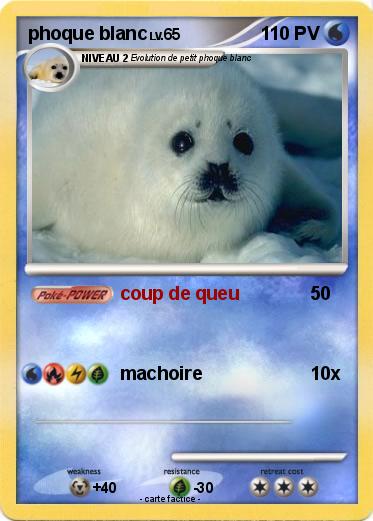 Pokemon phoque blanc