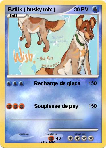 Pokemon Batlik ( husky mix )