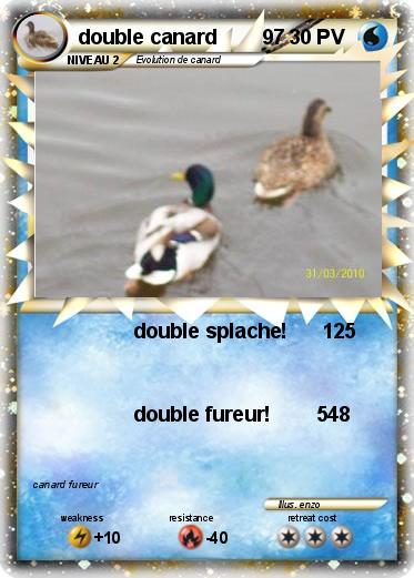 Pokemon double canard        97