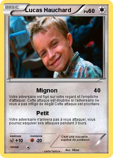 Pokemon Lucas Hauchard