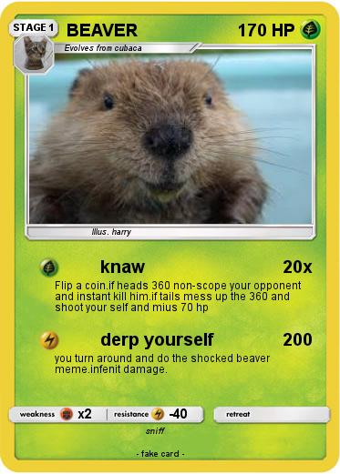 Pokemon BEAVER