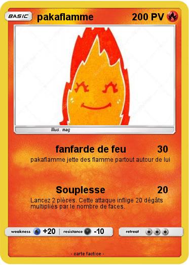 Pokemon pakaflamme