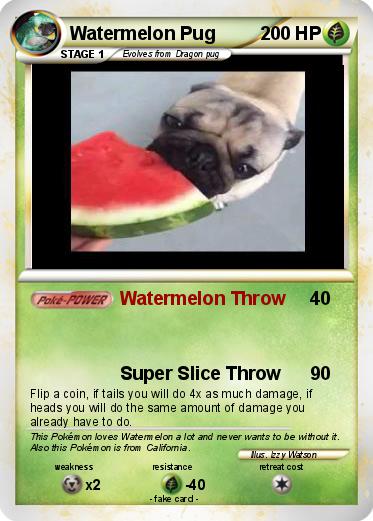 Pokemon Watermelon Pug