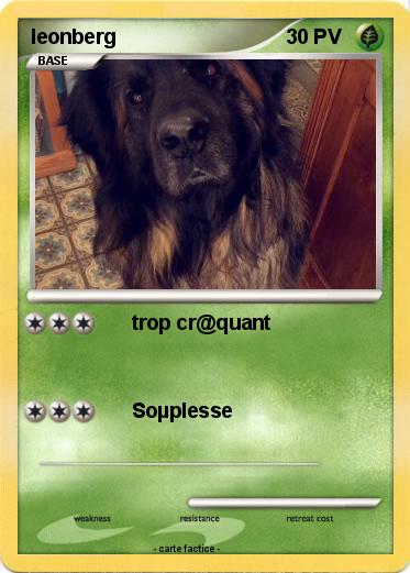 Pokemon leonberg