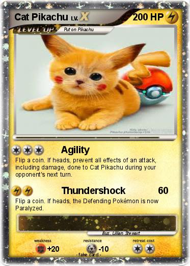 Pokemon Cat Pikachu