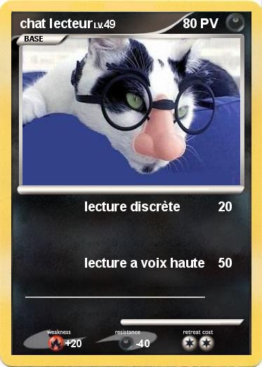Pokemon chat lecteur