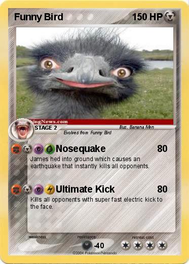 Pokemon Funny Bird