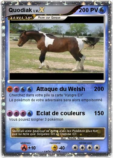 Pokemon Quodiak