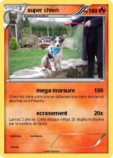 Pokemon super chien