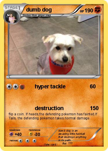 Pokemon dumb dog