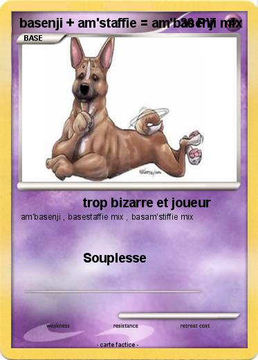 Pokemon basenji + am'staffie = am'basenji mix
