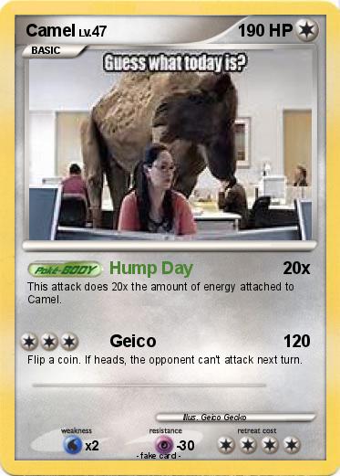 Pokemon Camel