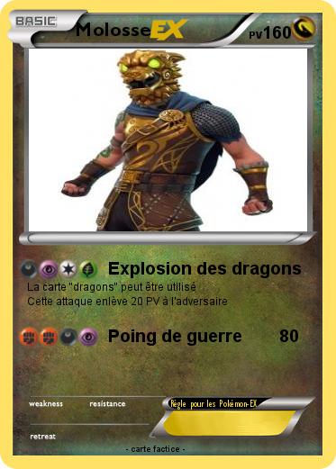 Pokemon Molosse