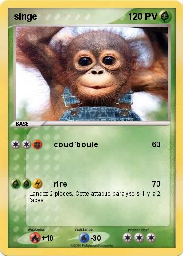 Pokemon singe