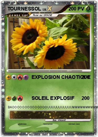 Pokemon TOURNESSOL
