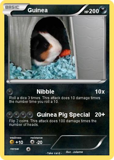 Pokemon Guinea