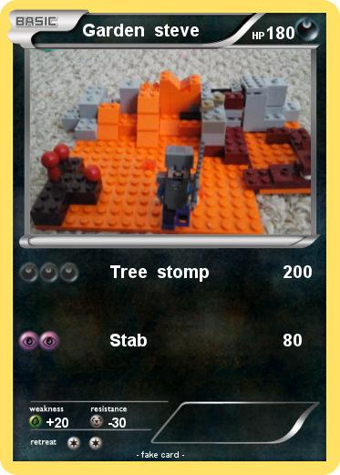 Pokemon Garden  steve