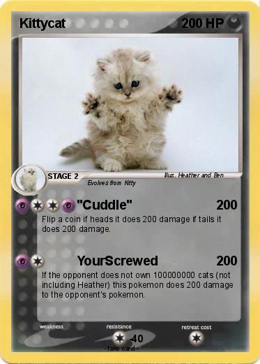 Pokemon Kittycat