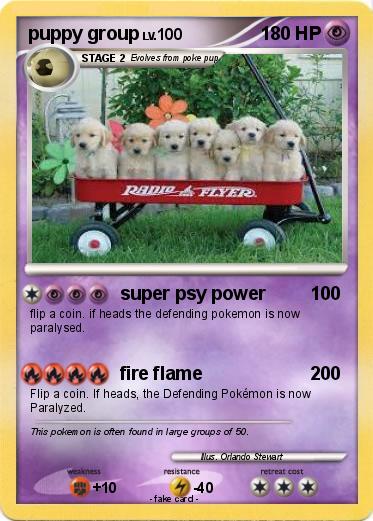 Pokemon puppy group