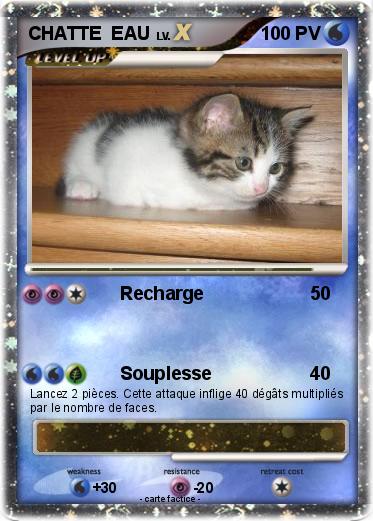 Pokemon CHATTE  EAU