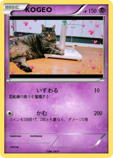 Pokemon KOGEO