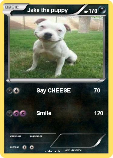 Pokemon Jake the puppy