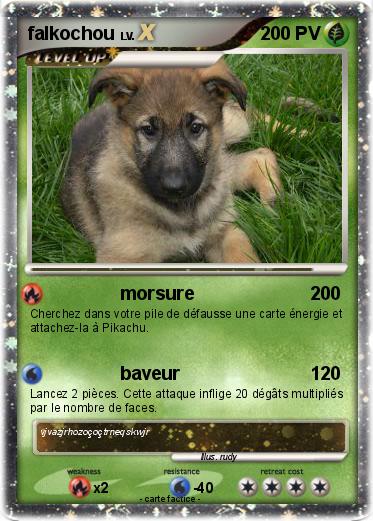 Pokemon falkochou
