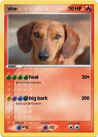 Pokemon vine