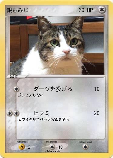 Pokemon 銀もみじ