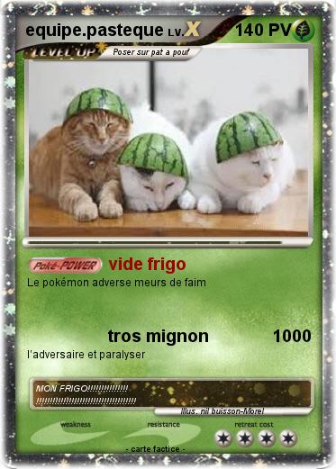 Pokemon equipe.pasteque