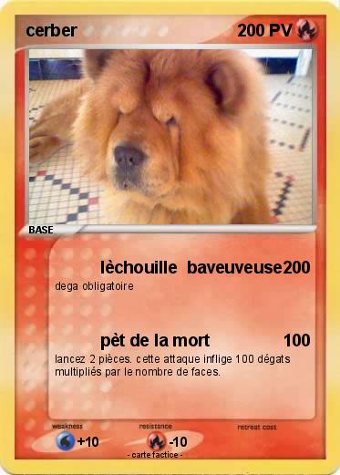 Pokemon cerber