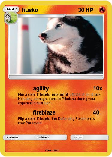 Pokemon husko