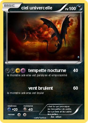 Pokemon ciel univercelle